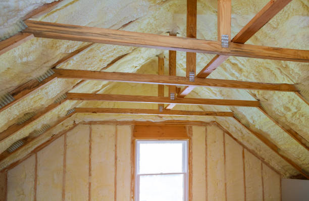 Best Attic Insulation Installation  in Crested Butte, CO